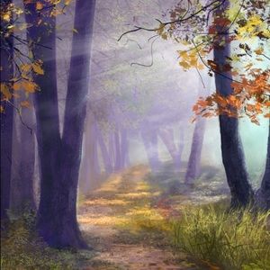 Meet your Posher, Silas